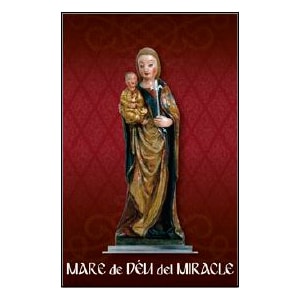 colgadura-madre-de-dios